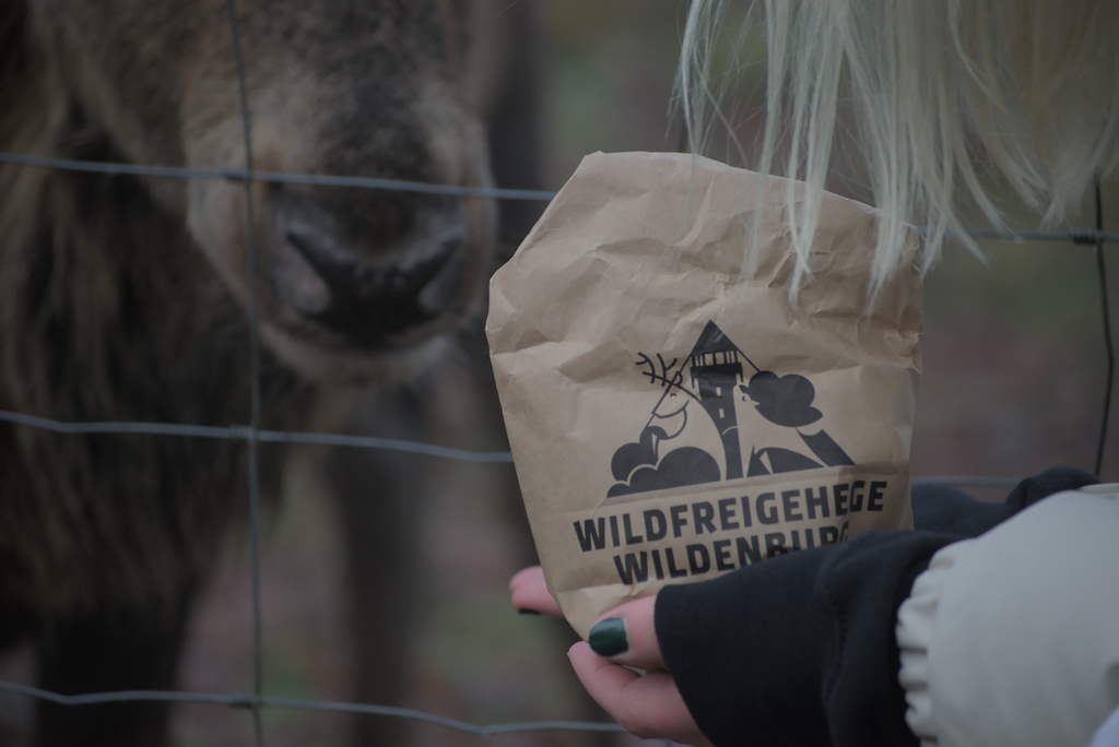 Eine Futtertüte des Wildfreigehege Wildenburg, im Hintergrund die Schnauze eines Hirschs
